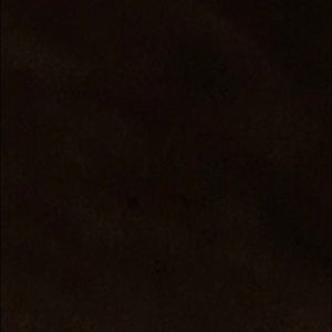 Meet your Posher, Abby